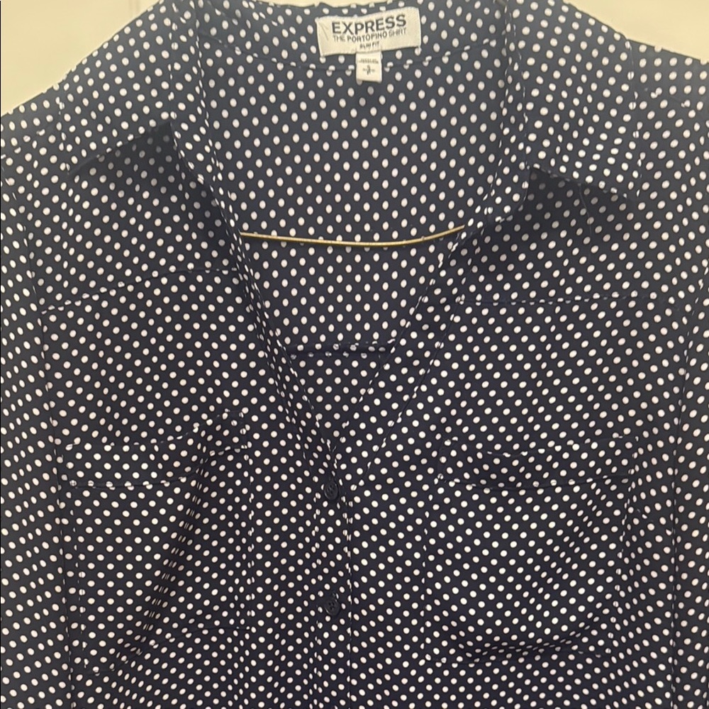 Express Blue and White Short Sleeve Button Down Shirt
